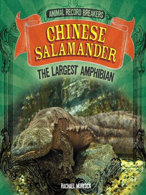 cover image of Chinese Salamander: The Largest Amphibian